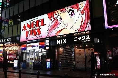 the-kabukicho-red-light-district-in-tokyo-japan-1289162-20130204110128-1.jpg
