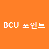 BCU 포인트.png