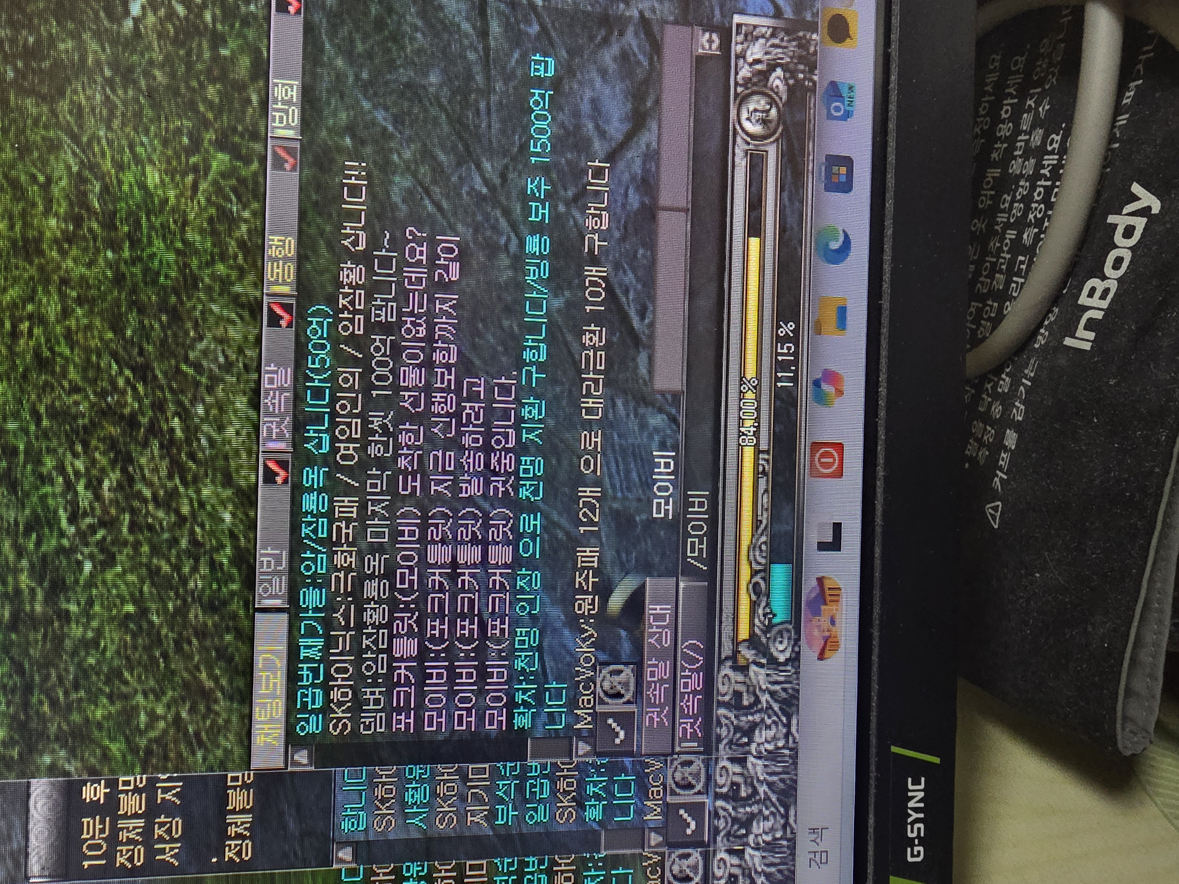 금전먹튀